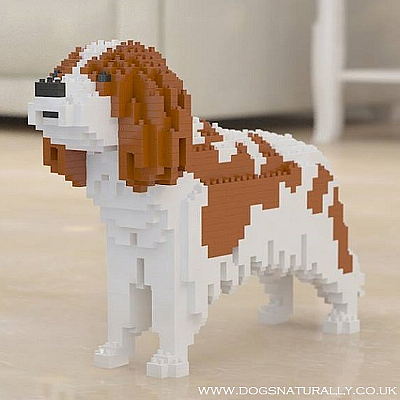 Cavalier King Charles Jekca Available in 5 Colours & 2 Sizes